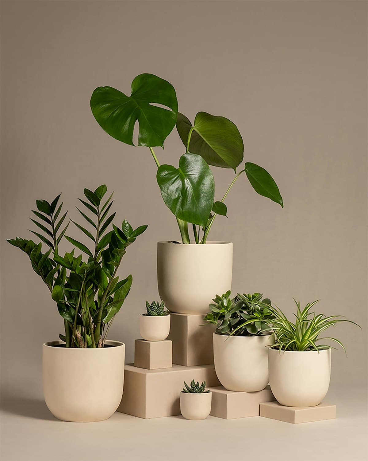 Group of ceramic designer pots