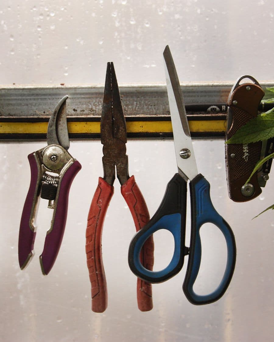 Hedge Shears