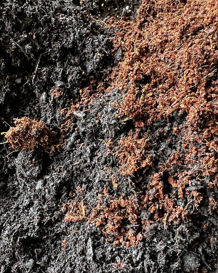 Soilless Potting Mix